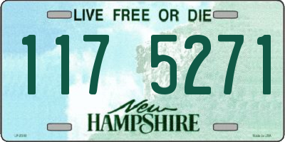 NH license plate 1175271
