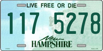 NH license plate 1175278