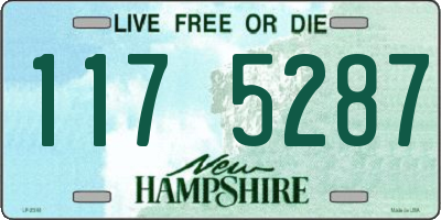 NH license plate 1175287