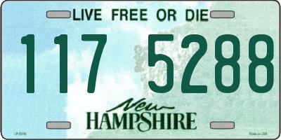 NH license plate 1175288