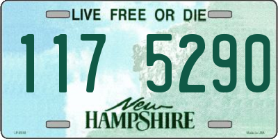 NH license plate 1175290