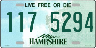 NH license plate 1175294