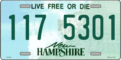 NH license plate 1175301