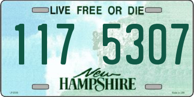 NH license plate 1175307