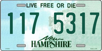 NH license plate 1175317