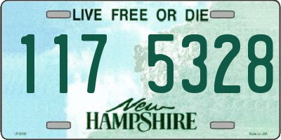 NH license plate 1175328