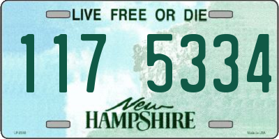 NH license plate 1175334