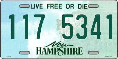 NH license plate 1175341