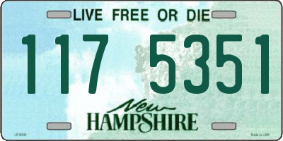NH license plate 1175351