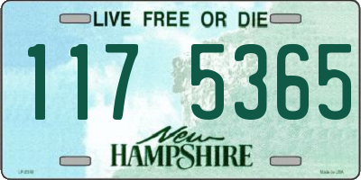 NH license plate 1175365