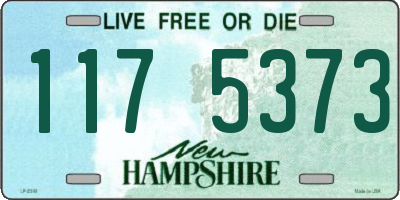 NH license plate 1175373