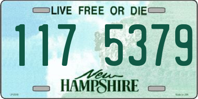 NH license plate 1175379