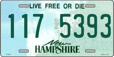 NH license plate 1175393