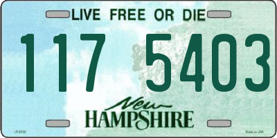NH license plate 1175403