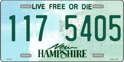 NH license plate 1175405