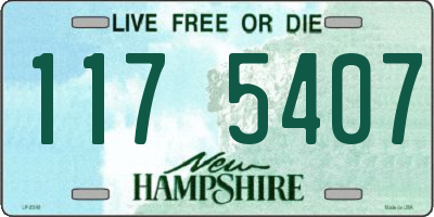 NH license plate 1175407