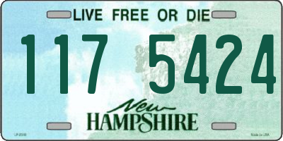 NH license plate 1175424