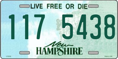 NH license plate 1175438