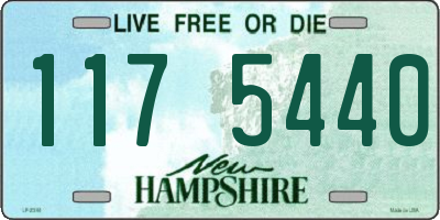 NH license plate 1175440