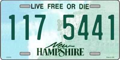 NH license plate 1175441