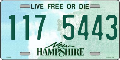 NH license plate 1175443