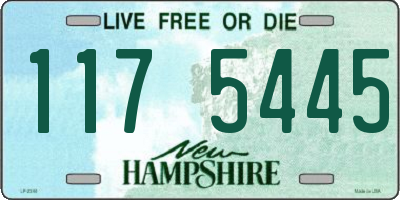 NH license plate 1175445