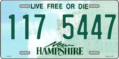 NH license plate 1175447