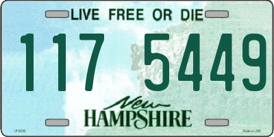 NH license plate 1175449