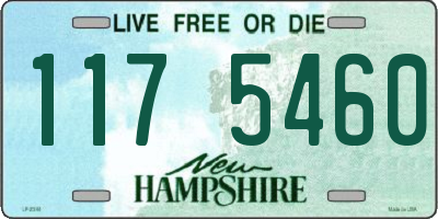 NH license plate 1175460