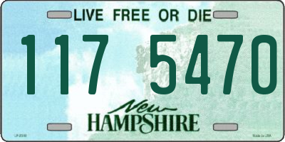 NH license plate 1175470