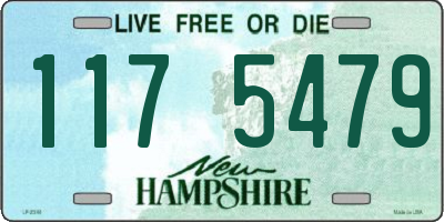 NH license plate 1175479