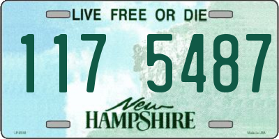 NH license plate 1175487