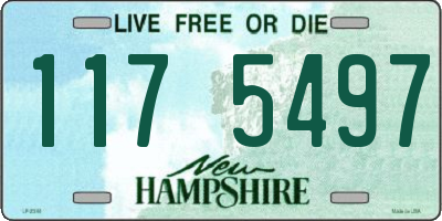 NH license plate 1175497