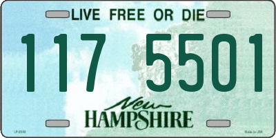NH license plate 1175501