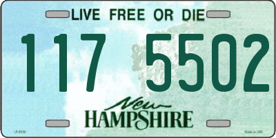 NH license plate 1175502