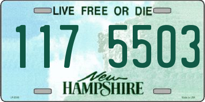 NH license plate 1175503
