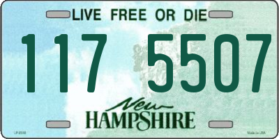 NH license plate 1175507