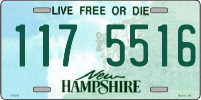 NH license plate 1175516