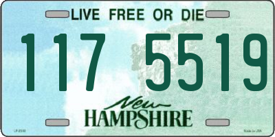 NH license plate 1175519
