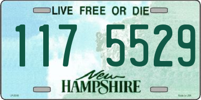 NH license plate 1175529