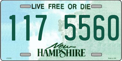 NH license plate 1175560