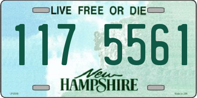 NH license plate 1175561