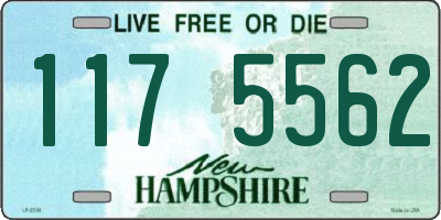 NH license plate 1175562