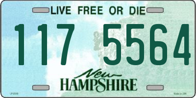 NH license plate 1175564