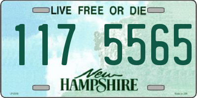 NH license plate 1175565