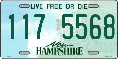 NH license plate 1175568
