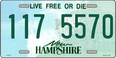 NH license plate 1175570