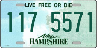 NH license plate 1175571