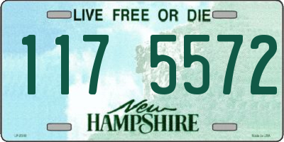 NH license plate 1175572