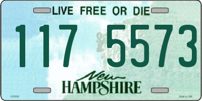 NH license plate 1175573